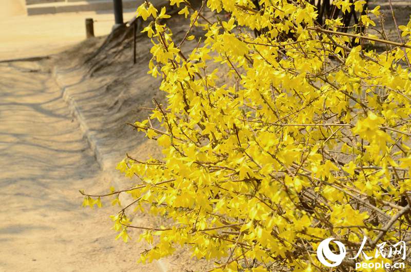 MAIN201903181624000242796472764.jpg MAIN201903181624000242796472764.jpg