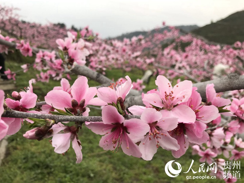 MAIN201903181625000186102293475.jpg MAIN201903181625000186102293475.jpg