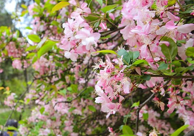 833b07b5ecc5538209db3ba837184a18.jpg 833b07b5ecc5538209db3ba837184a18.jpg